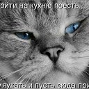 ���� ������, ������ - ��������� 8 ������ 2014 � ������ ������ ��������