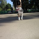 ���� ������, ������, 38 ��� - ��������� 22 ���� 2014 � ������ ������ ��������
