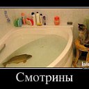 ���� ����, �������, 63 ���� - ��������� 10 ������� 2014 � ������ ������ ��������