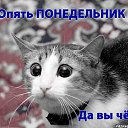 ���� �_�_�_�_�, ������-��-����, 43 ���� - ��������� 15 ��� 2014 � ������ ������ ��������