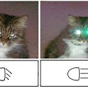 ���� ������, ������ ��������, 31 ��� - ��������� 6 ������ 2014