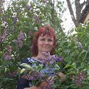 ���� �����, ��������, 52 ���� - ��������� 12 ��� 2014 � ������ ���� ����������