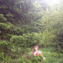 ���� �����, ��������, 56 ��� - ��������� 29 ��� 2014 � ������ ���� ����������