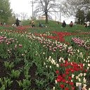 ���� ���������, ����, 53 ���� - ��������� 20 ������ 2014 � ������ ��������� ��������� ����-2014�