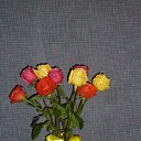  ,  -  7  2014   .. .. ...