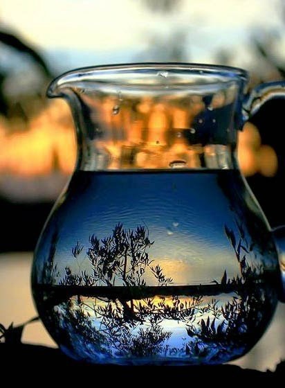      :  ,  .  - ,  ... - 5