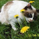 ���� ��������, �����, 65 ��� - ��������� 25 ������ 2014 � ������ ���� ����������