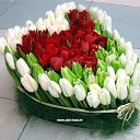 ���� ������, ������, 59 ��� - ��������� 14 ������ 2014 � ������ ������ ��������