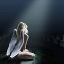 ���� �������, ��������� - ��������� 6 ��� 2014 � ������ ������ ��������