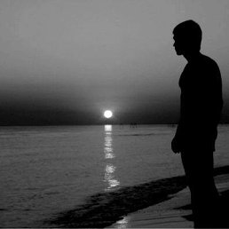 ���� �����, ������� - ��������� 16 ����� 2014