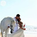 ���� ������, ������ - ��������� 2 ���� 2014 � ������ ��������.�