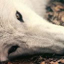 ���� �����, ������, 55 ��� - ��������� 7 ���� 2014 � ������ ������ ��������