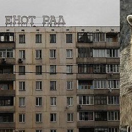 ���� ������, ��������� - ��������� 9 ������� 2014