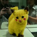 ���� ������, �������������� - ��������� 7 ��� 2014 � ������ ������ ��������