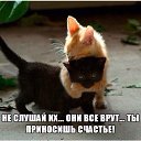 ���� �������, �����-���������, 74 ���� - ��������� 23 ���� 2014 � ������ ������ ��������