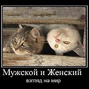 ���� �����, ���������, 38 ��� - ��������� 6 ���� 2014 � ������ ������ ��������
