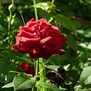 ���� ������, ������, 45 ��� - ��������� 24 ���� 2014 � ������ ������ ��������