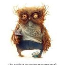 ���� ���������, �������, 43 ���� - ��������� 17 ���� 2014