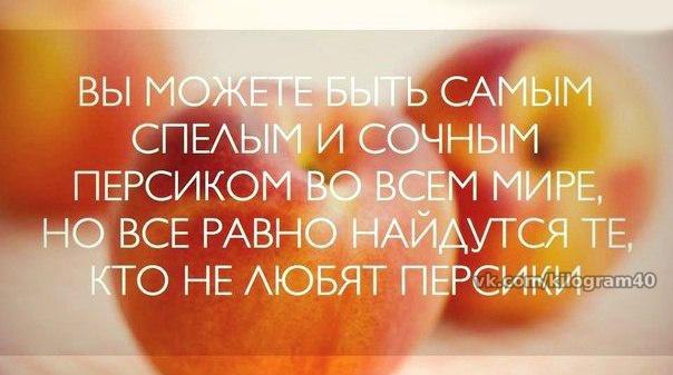 ���� ������ - 8 ���� 2014 � 03:18