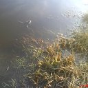 �� ����� �� ������� ���� ����������