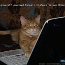 ���� �������, �����������, 62 ���� - ��������� 9 ���� 2014 � ������ �� ������� � ������)))�