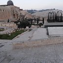 ���� David, ����� - ��������� 27 ��� 2014 � ������ ��������- � ������� � ����.�