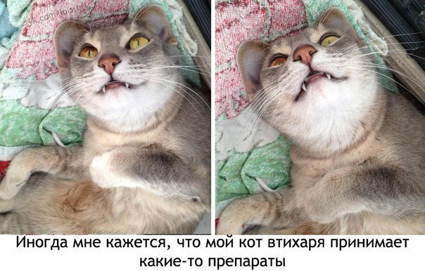  ( ) - 17  2014  15:23