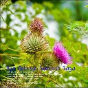 Ilya Golitsyn Scottish Saga   Golitsyn Music Label