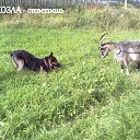 ���� �������, ��������� - ��������� 25 ����� 2014 � ������ ������ ��������