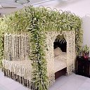 ���� �������, ������-��-���� - ��������� 28 ��� 2014 � ������ ���� ����������