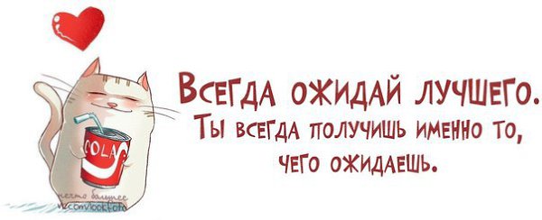 Хорошо ибо. Всегда ожидайте лучшего ибо вы всегда. Всегда ожидайте лучшего. Всегда ожидайте лучшего ибо вы всегда получаете именно. Ожидайте лучшего.