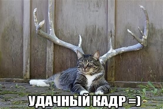  -  - 15  2014  19:58