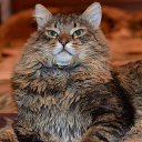 ���� ����������, ������� ��������, 63 ���� - ��������� 6 ���� 2014 � ������ ������ � �����