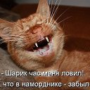 ���� �����, �����, 55 ��� - ��������� 19 ���� 2014 � ������ ������ ��������