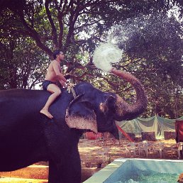 ������, ����������, 40 ���