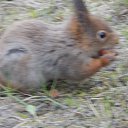 ���� ����, �����-���������, 57 ��� - ��������� 1 ��� 2014 � ������ �� �����