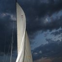 ���� ����������, ���������, 49 ��� - ��������� 13 ��� 2014 � ������ ������ ��������