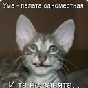 ���� ����, �����-���������, 48 ��� - ��������� 15 ������� 2014 � ������ ������ ��������