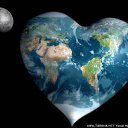 ���� ������ ������, ������, 41 ��� - ��������� 27 ��� 2014 � ������ ���� ����������