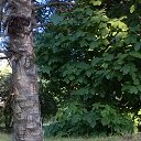 ������� ��������... �� ������� ������ ��������