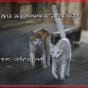 ���� ���������, ������, 44 ���� - ��������� 22 ����� 2014 � ������ �:))�