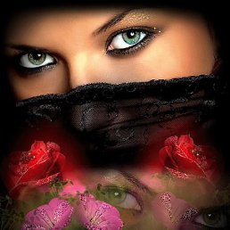 ������ � ���� ����