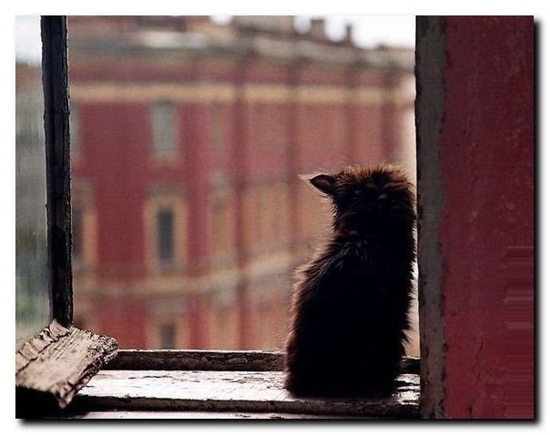 ����������!!! ������� ������ ����.... ... � � ��� �� ����� ��� ���. �������, �����������, ������ ...