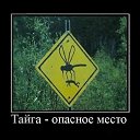 ���� ������, ����� - ��������� 9 ������ 2014 � ������ ������ ��������