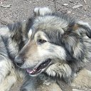    .   ,        - .    -  .   -׸ , 23  2014