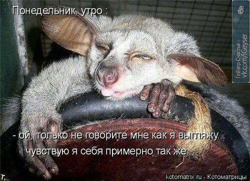 ������� - 2 ������ 2014 � 21:47