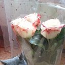 ���� �����, ������, 44 ���� - ��������� 19 ����� 2014 � ������ ���� ������� �������