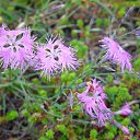 ���� �������, ������, 65 ��� - ��������� 16 ��� 2014 � ������ ���� ����������