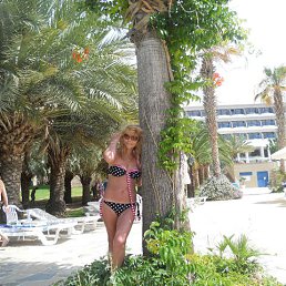 ���� 2014 �