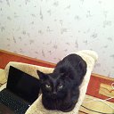 ���� �������, �������, 61 ��� - ��������� 2 ���� 2014 � ������ ���� ����������